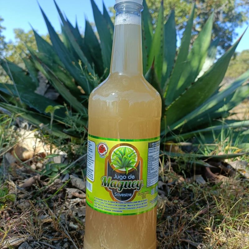 Jugo de Maguey Silvestre